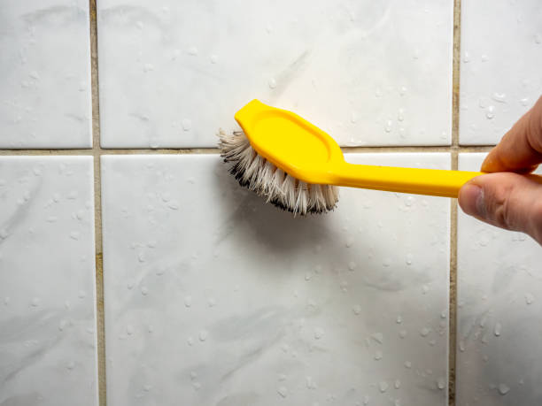 Best Mold Damage Repair  in Elgin, MN