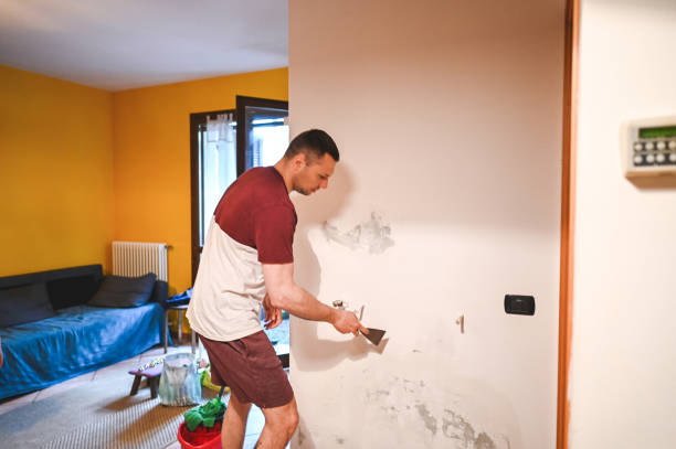 Best Mold Removal Process  in Elgin, MN